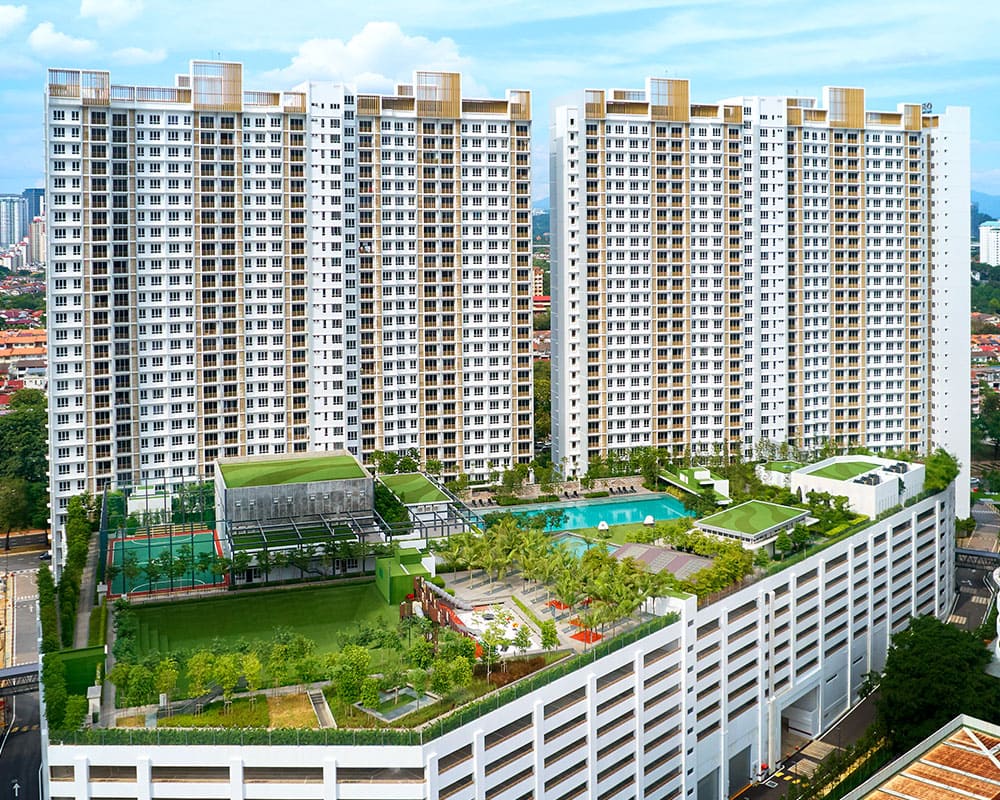 Ryan-Miho-Petaling-Jaya